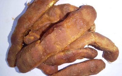 Tamarind ,Tamarindus Indica